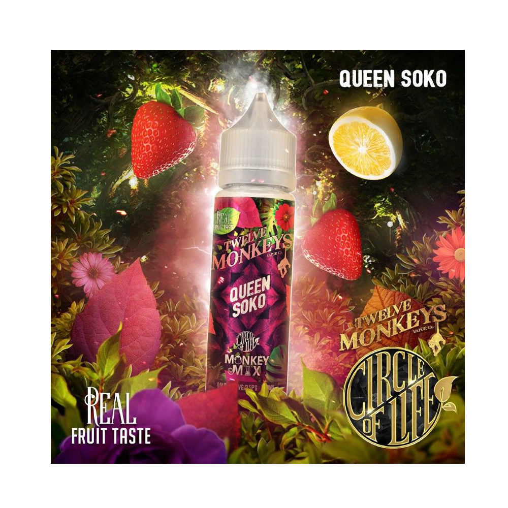 12 Monkeys Queen Soko  12 Monkeys Queen Soko