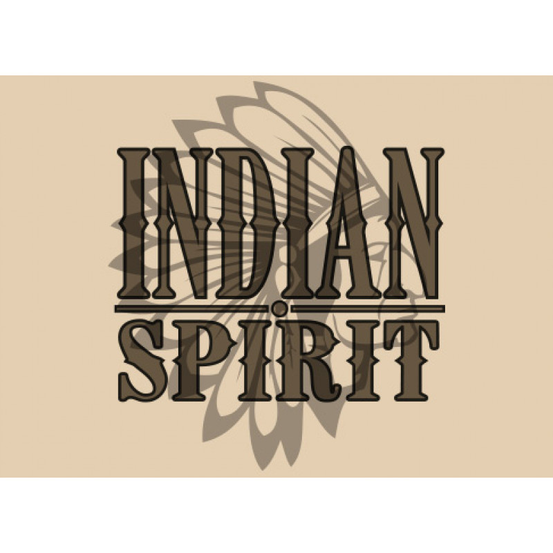 Ben Northon Indian Spirit Logo